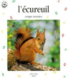L'écureuil : croque noisette | Ledu-Frattini, Stéphanie. Auteur