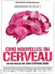The brain, cinq nouvelles du cerveau | Bron, Jean-Stéphane. Metteur en scène ou réalisateur