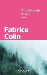 Tu réclamais le soir : roman | Colin, Fabrice. Auteur