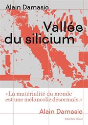 Vallée du silicium | Damasio, Alain. Auteur